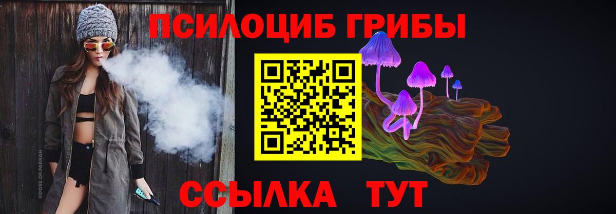 Псилоцибиновые грибы Cubensis Пыть-Ях